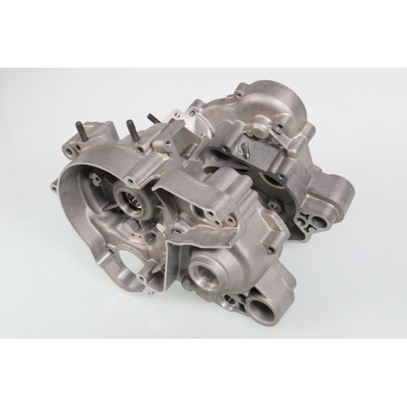 Carter moteur GASGAS Rookie EC 50 enduro le jeu