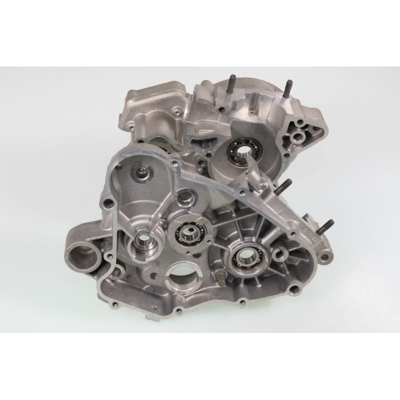 Carter moteur GASGAS Rookie EC 50 enduro le jeu