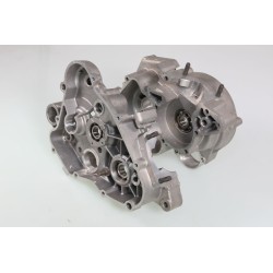 Carter moteur GASGAS Rookie EC 50 enduro le jeu
