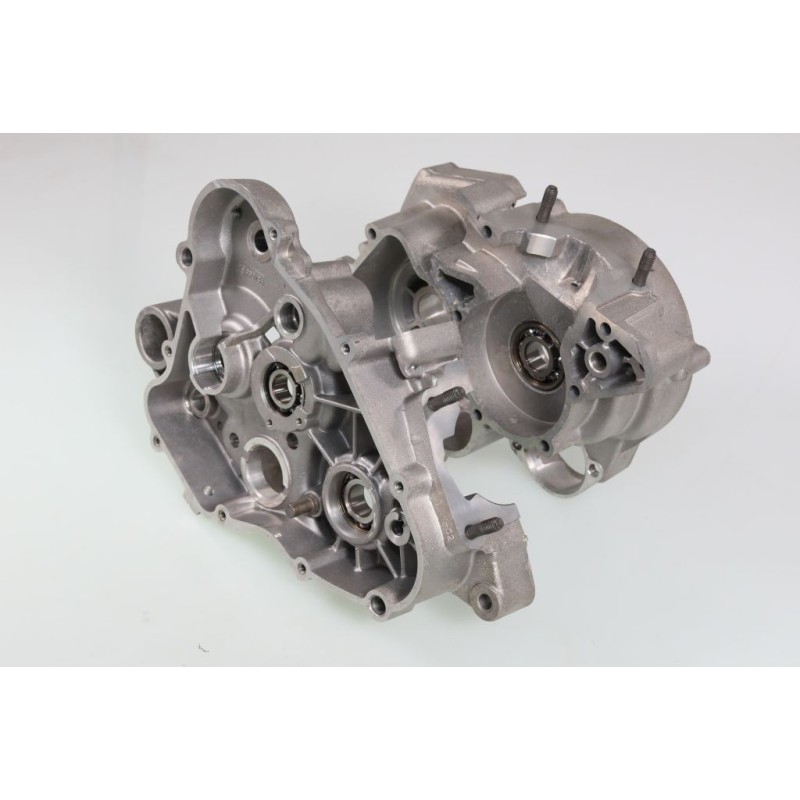 Carter moteur GASGAS Rookie EC 50 enduro le jeu