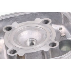 Culasse GASGAS Rookie 50cc seul