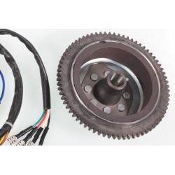 Allumage GASGAS Rookie EC 50cc rotor/stator Ducati