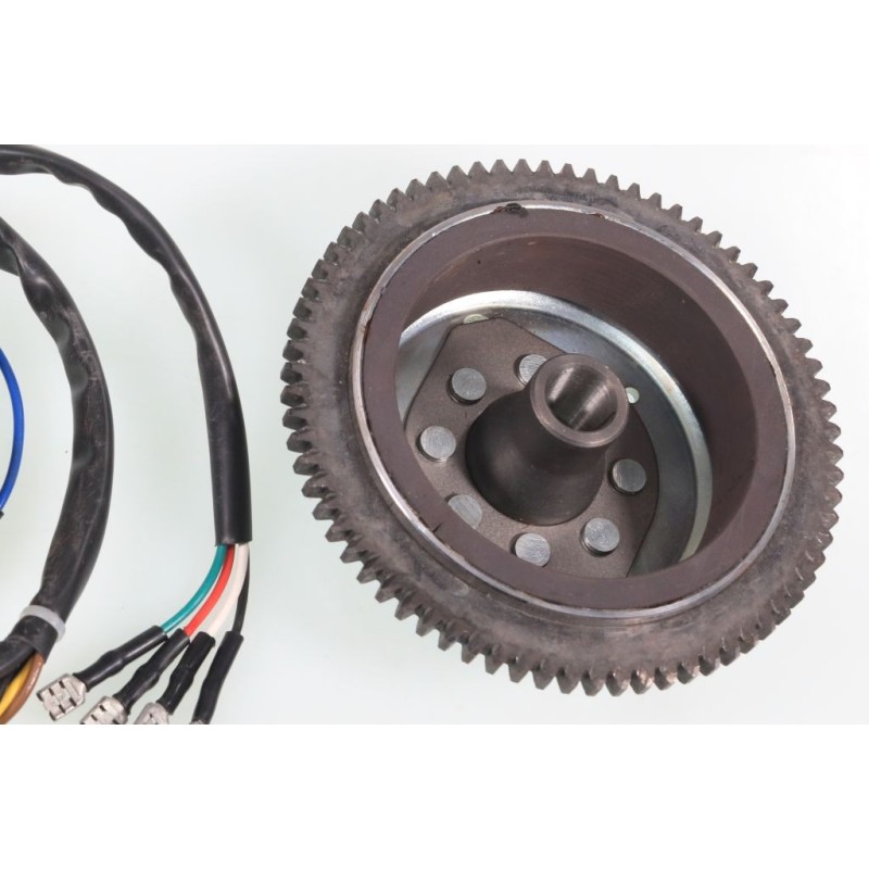 Allumage GASGAS Rookie EC 50cc rotor/stator Ducati