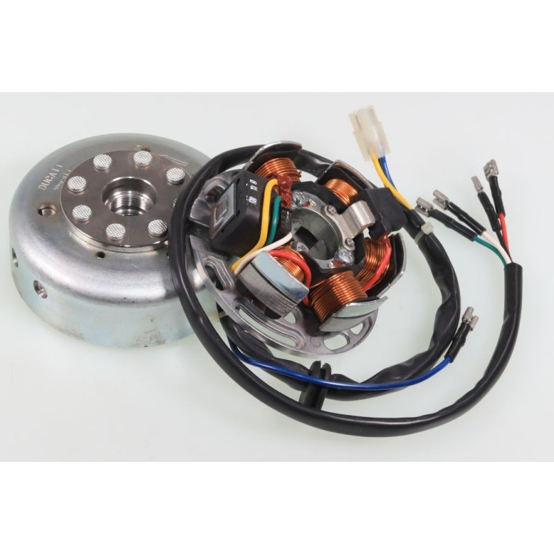 Allumage GASGAS Rookie 80cc rotor/stator Ducati