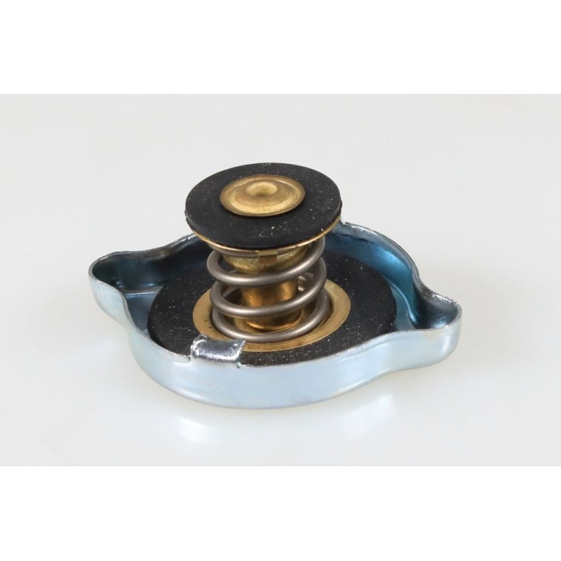 Bouchon radiateur GASGAS 1994-2001 adaptable