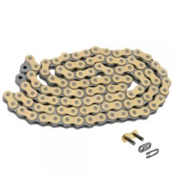 Chaine 428 REGINA EB-ORO...