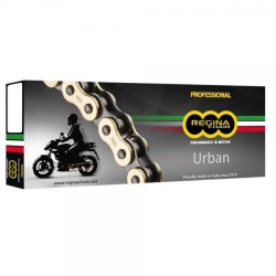 Chaine 428 REGINA EB-ORO 134 maillons or