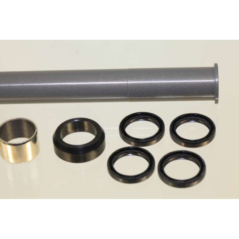 Kit bagues d'usure et axe bras oscillant GASGAS 2003-2018