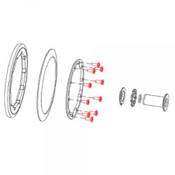 Vis plateau embrayage JITSIE GASGAS Pro adaptable x10