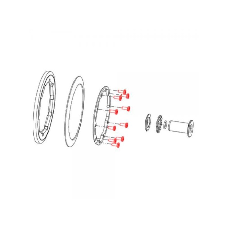 Vis plateau embrayage JITSIE GASGAS Pro adaptable x10