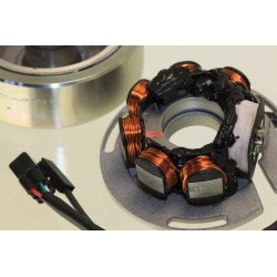 Allumage SHERCO 2011-2012 125 rotor/stator leonelli