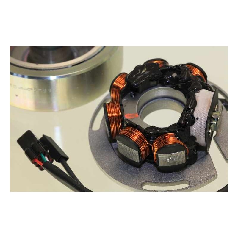 Allumage SHERCO 2011-2012 125 rotor/stator leonelli