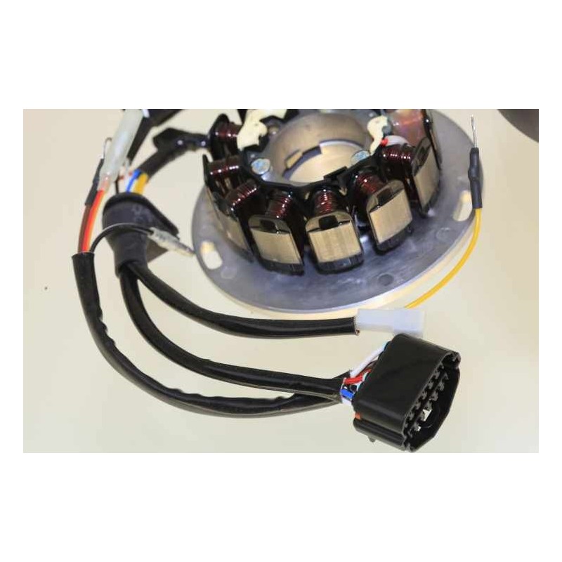 Allumage SHERCO 2013-2017 rotor/stator