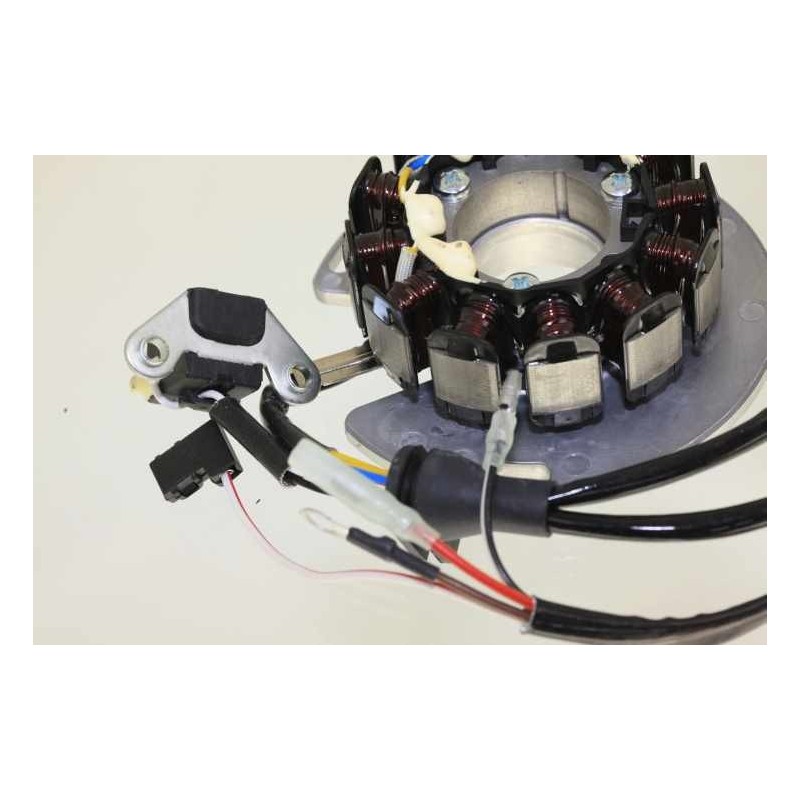 Allumage SHERCO 2013-2017 rotor/stator