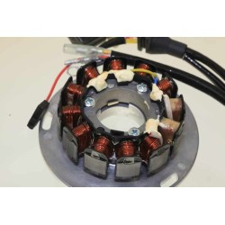 Allumage SHERCO 2013-2017 125 rotor/stator