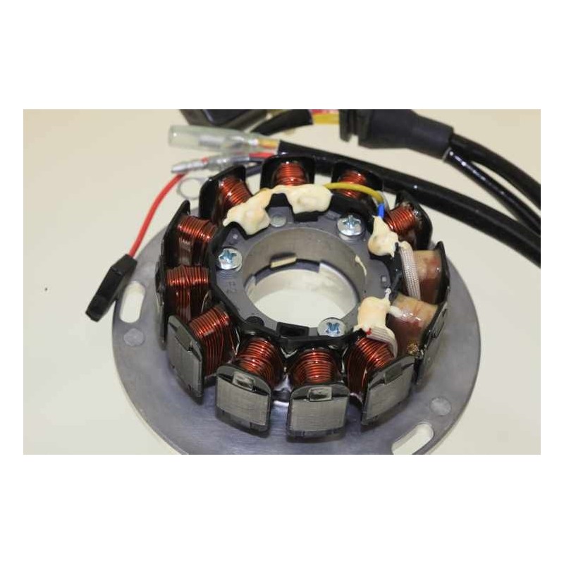 Allumage SHERCO 2013-2017 125 rotor/stator