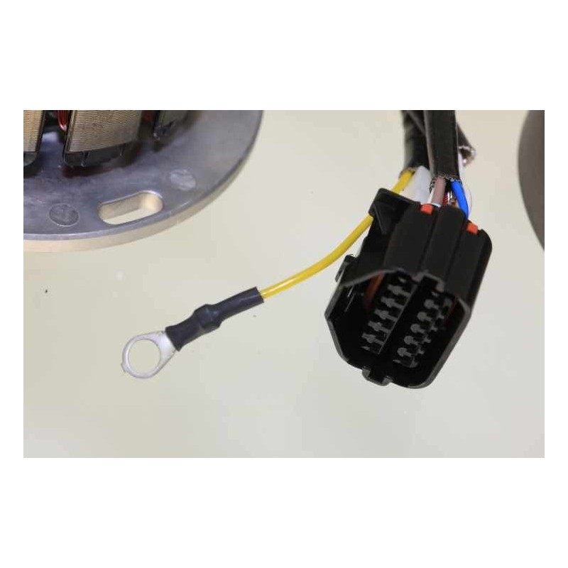 Allumage SHERCO 2013-2017 125 rotor/stator