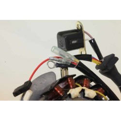 Allumage SHERCO 2013-2017 125 rotor/stator