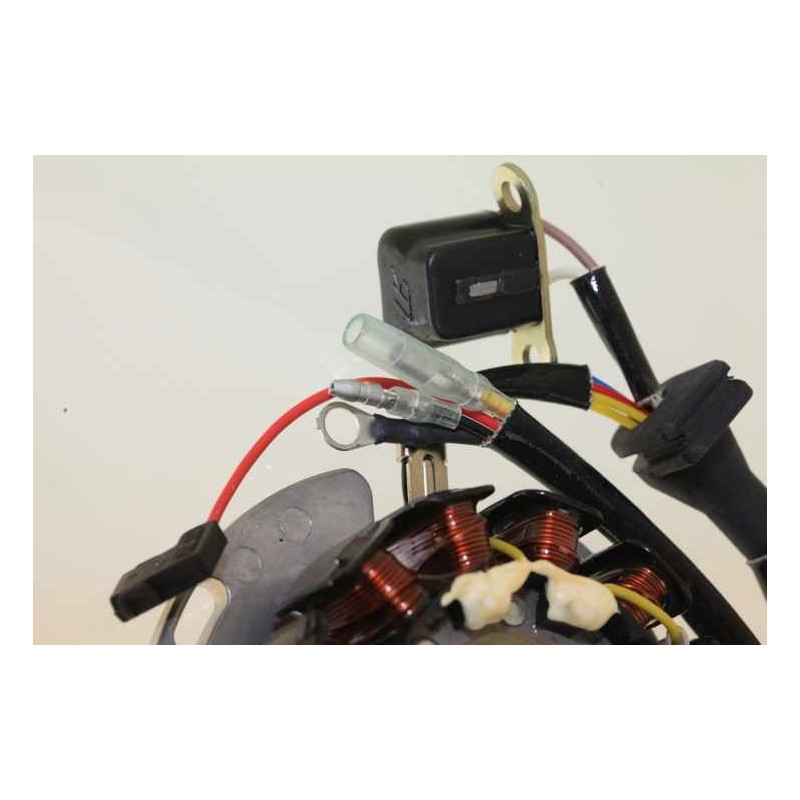 Allumage SHERCO 2013-2017 125 rotor/stator