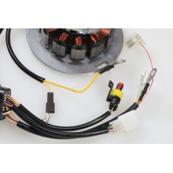 Allumage SHERCO 2018-2019 stator seul hidria