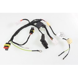Faisceau électrique...