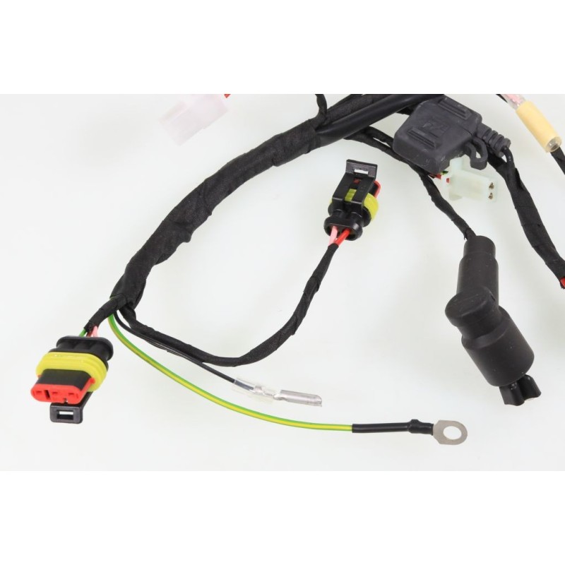 Faisceau électrique SHERCO/SCORPA 2020-2022 principal