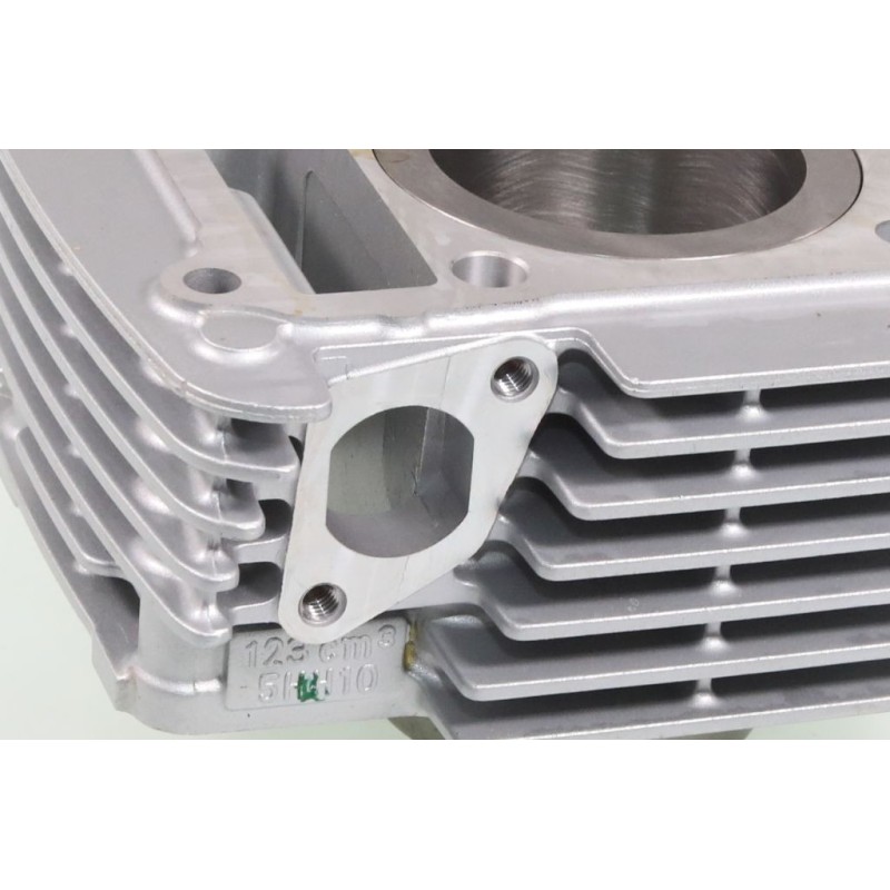 Cylindre SCORPA 125 TYS seul