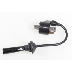 Bobine allumage SCORPA 2008...
