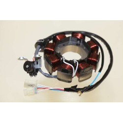 Allumage SCORPA tys 125 4T...