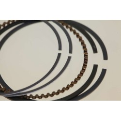Segment SCORPA TYS 125 le jeu