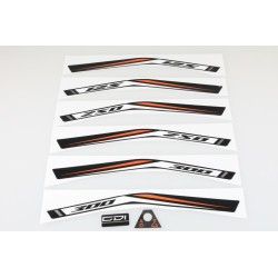 Kit autocollant SCORPA 2019...