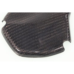 Protection carter gauche carbone SKC ELECTRIC MOTION 2020-2023