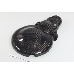 Protection carter allumage et démarreur carbone SKC TRS
