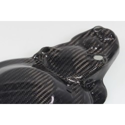 Protection carter allumage et démarreur carbone SKC TRS