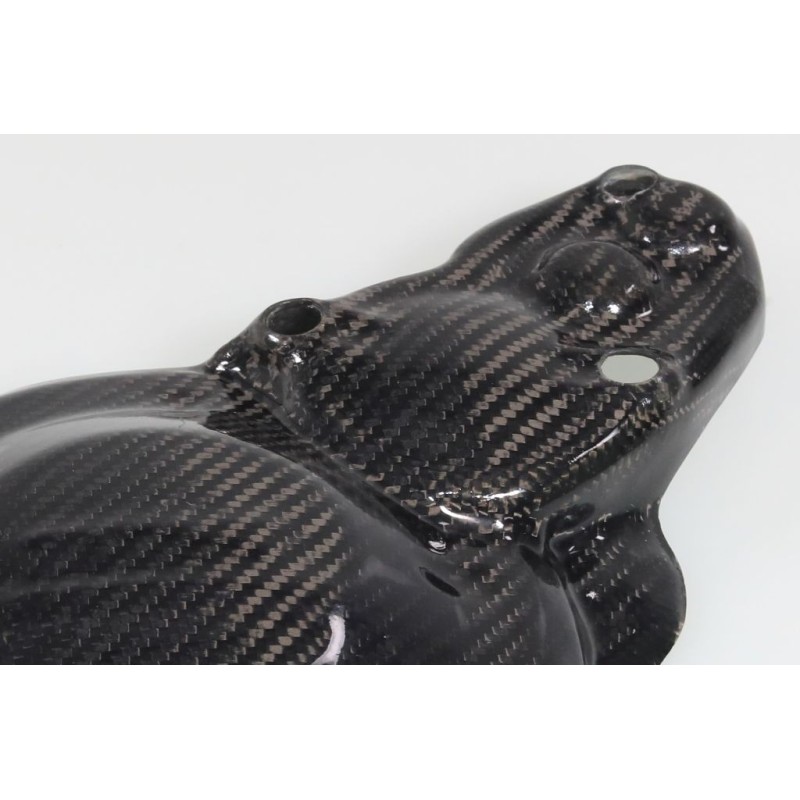Protection carter allumage et démarreur carbone SKC TRS