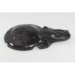 Protection carter allumage et démarreur carbone SKC TRS