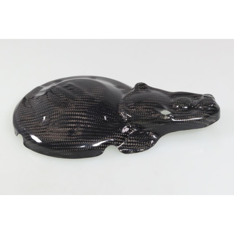 Protection carter allumage et démarreur carbone SKC TRS