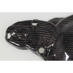 Protection carter allumage et démarreur carbone SKC TRS