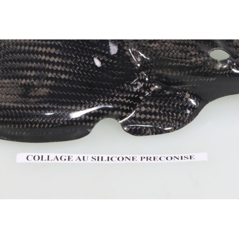 Protection carter allumage et démarreur carbone SKC TRS