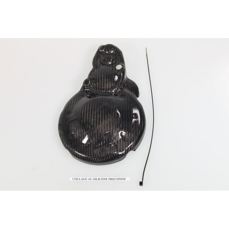 Protection carter allumage et démarreur carbone SKC TRS