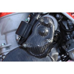 Protection carter allumage et démarreur carbone SKC TRS
