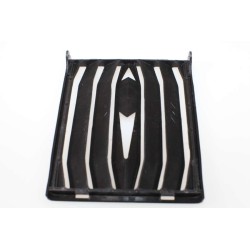 Grille protection radiateur TRS noir