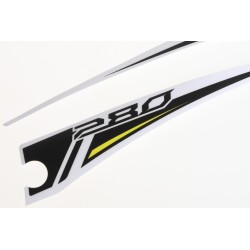 Autocollant boitier filtre TRS 2018 Raga 280 latéral la paire