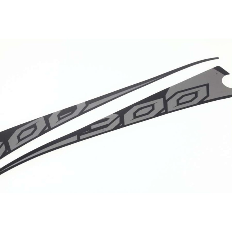 Autocollant selle TRS 2017 Raga 300 lateral la paire