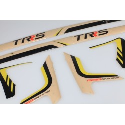 Autocollant cadre TRS 2018 Raga la paire