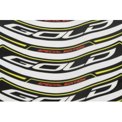 Autocollant cerceau de roue TRS 2019 Gold AR
