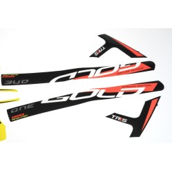 Autocollant cadre TRS 2020 Gold la paire