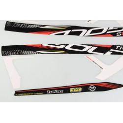 Autocollant cadre TRS 2022 Gold la paire