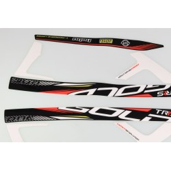 Autocollant cadre TRS 2022 Gold la paire