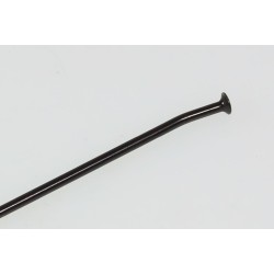 Rayon AV TRS noir